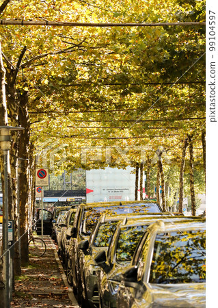 倒影在車上的秋景 99104597