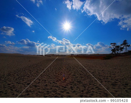 Shining sun 99105428