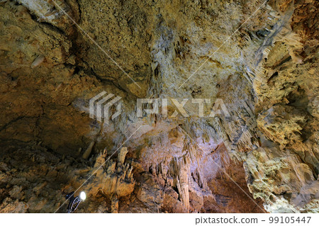 Ishigaki Island, Ryujin Limestone Cave Ishigaki Island, Ryujin Limestone Cave 99105447