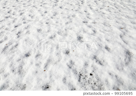 雪地 99105695