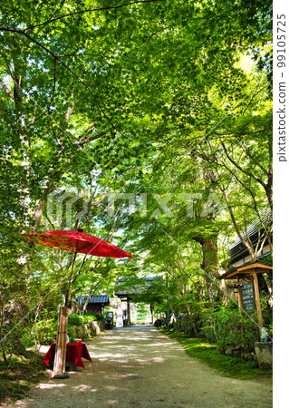 湖南三山長壽寺的新綠 99105725