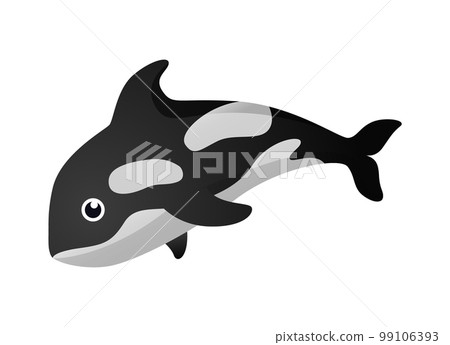 Killer whale ( Orca ) cartoon character . Vector . Killer whale ( Orca ) cartoon character . Vector . 99106393