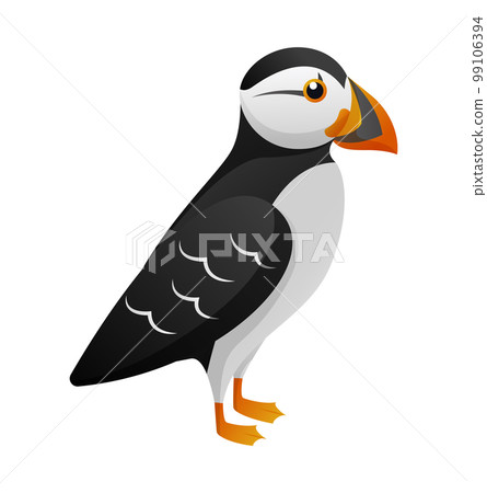 Atlantic Puffin cartoon character . Vector . 99106394