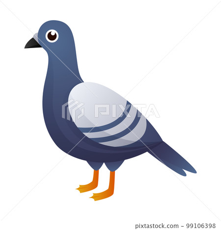 Arctic pigeon bird cartoon character . Vector . 99106398