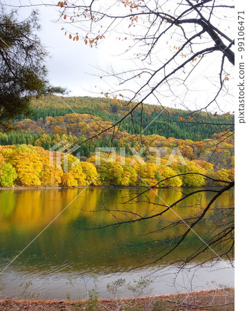 Shigenoya Chinuma 藏王溫泉 Zao Koyo Koyo Shigenoya Chinuma 藏王溫泉 Zao Koyo Koyo 99106471