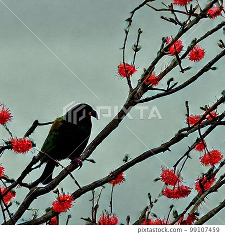 winter-bearing bird 99107459