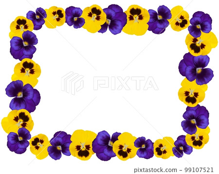 Pansy Frame 99107521