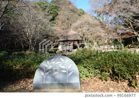 東高根森林公園冬季景色 99108977