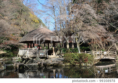 東高根森林公園冬季景色 99108978