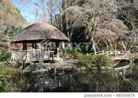 東高根森林公園冬季景色 99108979
