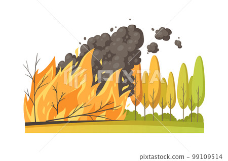 Forest Fire Disaster Composition 99109514