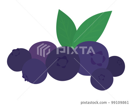 Simple blueberry illustration material 99109861
