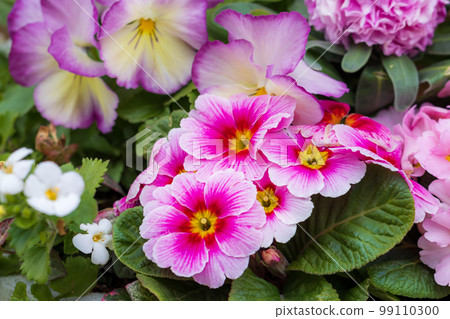 滿滿的花0139 99110300