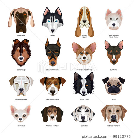 Dogs Breeds Set 99110775