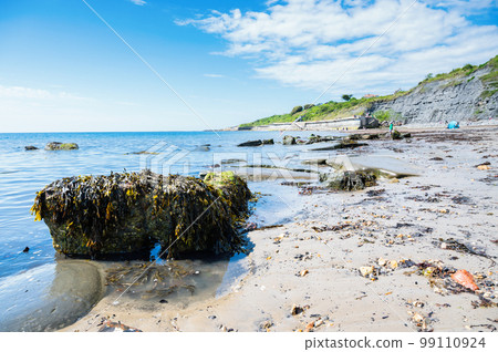 Famous Lyme Regis beach, world heritage site in Dorset, South West England. View of stones and liffs and blue sea. The beach is full of fossils. Selective focus 99110924