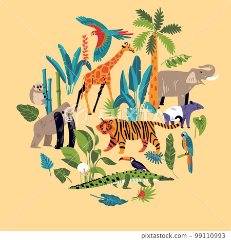 Jungle Habitat Round Composition Jungle Habitat Round Composition 99110993