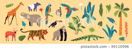 Jungle Nature Color Set Jungle Nature Color Set 99110996