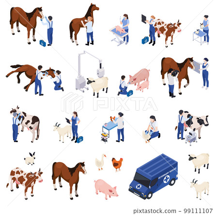 Farm Animals Veterinary Compositions Farm Animals Veterinary Compositions 99111107
