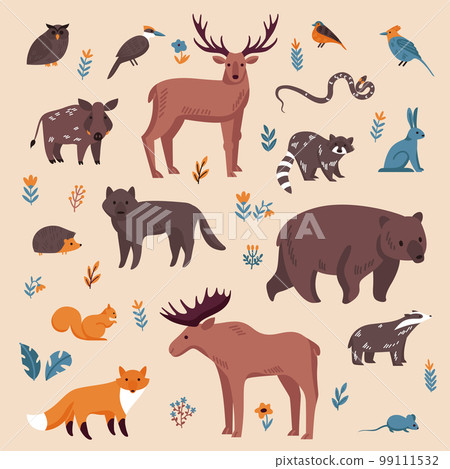 Forest Animals Color Set 99111532