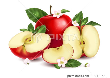 Realistic Apples Composition Realistic Apples Composition 99111580
