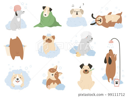 Set of funny washing dogs in different poses. Vector illustration of adorable pets Set of funny washing dogs in different poses. Vector illustration of adorable pets 99111712