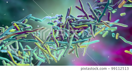 Erysipelothrix bacteria, 3D illustration 99112513