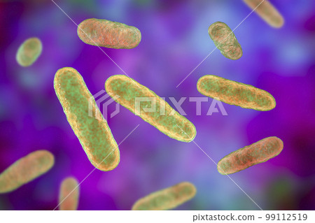 Bacteria Eikenella, illustration Bacteria Eikenella, illustration 99112519
