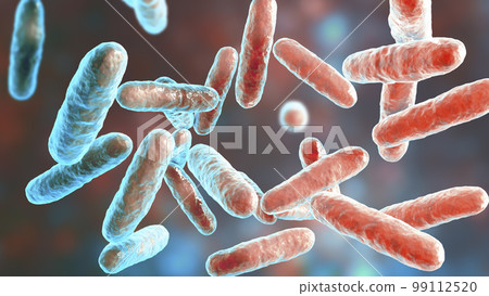 Bacteria Eikenella, illustration Bacteria Eikenella, illustration 99112520