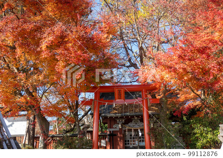 殺生石神社的紅葉 99112876