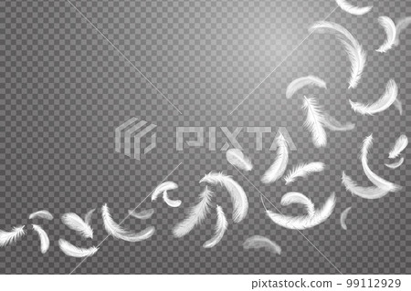 Isolated floating feathers, goose fly. Falling white plumage, 3d weightless elements, chicken or swan pillow filler, swan fluffy wing. Transparent background. Vector realistic illustration Isolated floating feathers, goose fly. Falling white plumage, 3d weightless elements, chicken or swan pillow filler, swan fluffy wing. Transparent background. Vector realistic illustration 99112929
