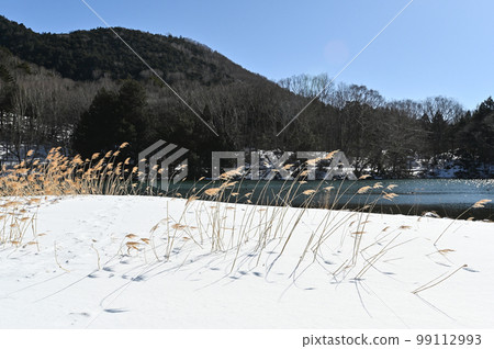 Landscape of Lake Yunoko, Nikko City, Tochigi Prefecture in winter Landscape of Lake Yunoko, Nikko City, Tochigi Prefecture in winter 99112993