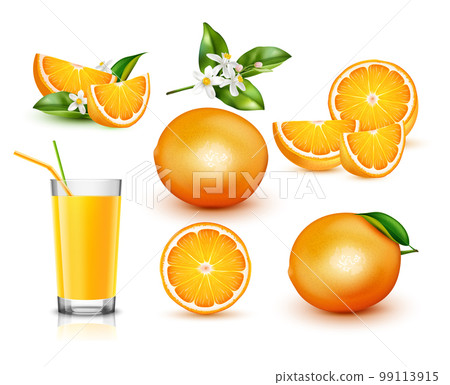 Orange Realistic Set Orange Realistic Set 99113915