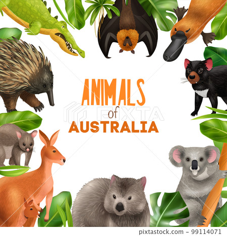 Australian Animals Frame Composition 99114071