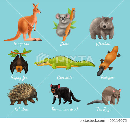 Australian Animals Design Concept Australian Animals Design Concept 99114073