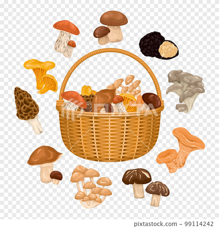 Basket With Edible Mushrooms 99114242