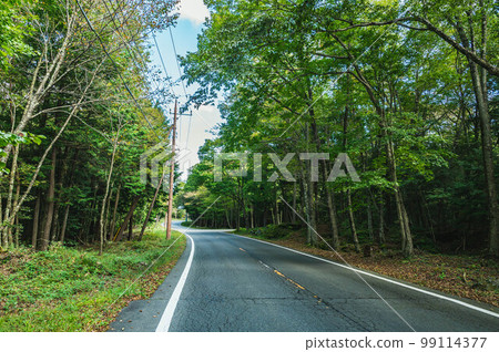 富嶽風洞前夾在樹間的道路 99114377