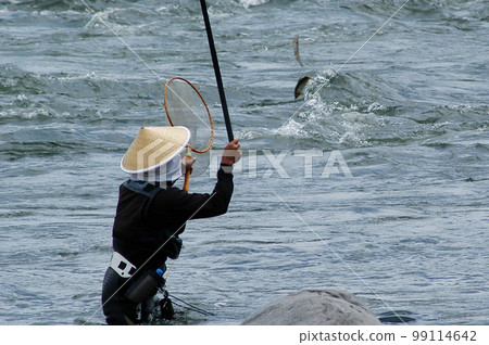 Ayu fishing Ayu fishing 99114642
