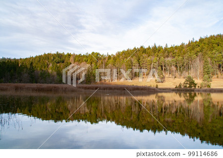 Fuessen, Germany - January 14th 2023: A forested hill mirroring in a small lake 99114686