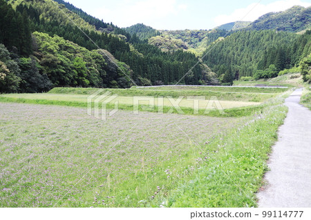 仁閣村平安路 仁閣村平安路 99114777