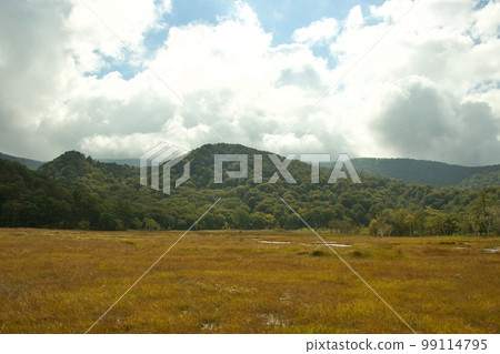 Oze Hiking Oze Hiking 99114795