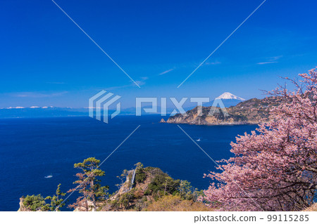 （靜岡縣）從小gan崎的櫻花盛開的西水和富士山的海岸線 99115285
