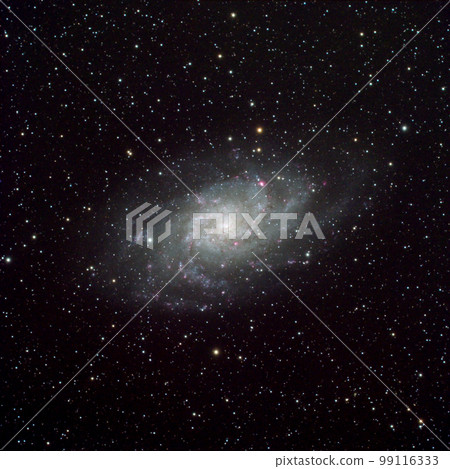 Triangulum Galaxy 99116333