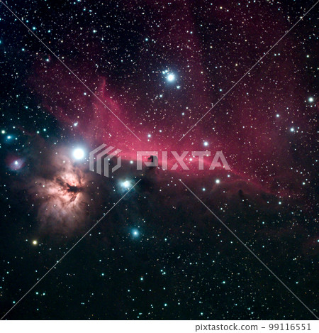 Horsehead Nebula and Burning Tree 99116551