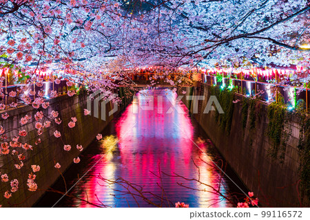 夜櫻花在目黑川上點亮_春天_盛開_東京都目黑區中目黑 夜櫻花在目黑川上點亮_春天_盛開_東京都目黑區中目黑 99116572