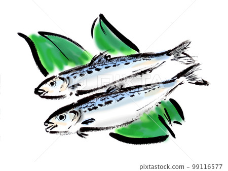 沙丁魚手繪日式插畫日式素材 沙丁魚手繪日式插畫日式素材 99116577