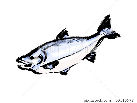 salmon hand drawn japanese style illustration japanese style material salmon hand drawn japanese style illustration japanese style material 99116578