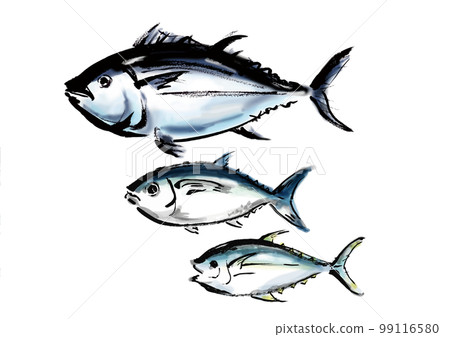 Hand-drawn Japanese-style illustration by tuna variety Japanese-style material 99116580