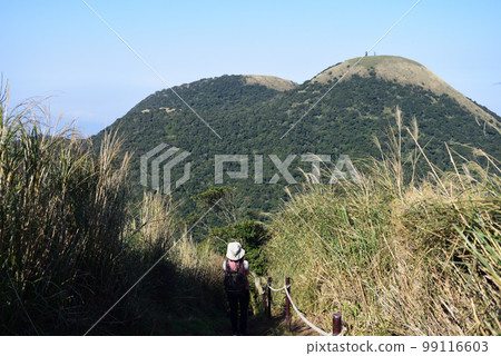 陽明山登山 陽明山登山 99116603