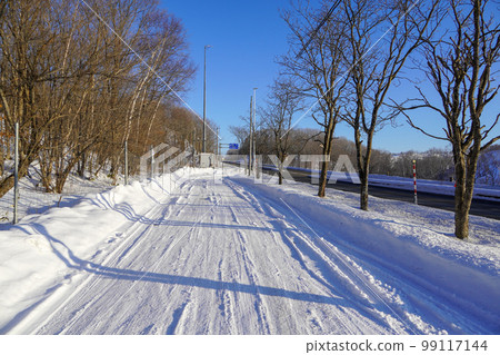 Somewhere in eastern Hokkaido in a parking zone with a freezing temperature of -22°C Somewhere in eastern Hokkaido in a parking zone with a freezing temperature of -22°C 99117144