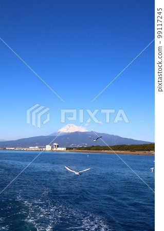 從海鷗飛舞的駿河灣眺望富士山 99117245